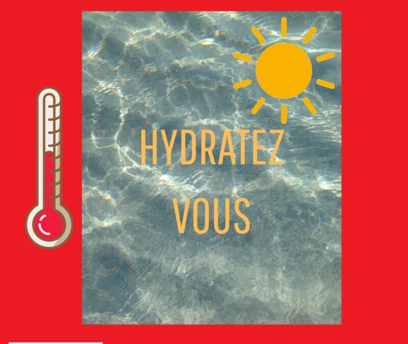 𝐏𝐥𝐚𝐧 𝐂𝐚𝐧𝐢𝐜𝐮𝐥𝐞 𝟐𝟎𝟐𝟓 : 𝐍𝐨𝐮𝐯𝐞𝐥𝐥𝐞𝐬 𝐨𝐛𝐥𝐢𝐠𝐚𝐭𝐢𝐨𝐧𝐬 𝐩𝐨𝐮𝐫 𝐥𝐞𝐬 𝐞𝐧𝐭𝐫𝐞𝐩𝐫𝐢𝐬𝐞𝐬